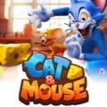 Cat & Mouse