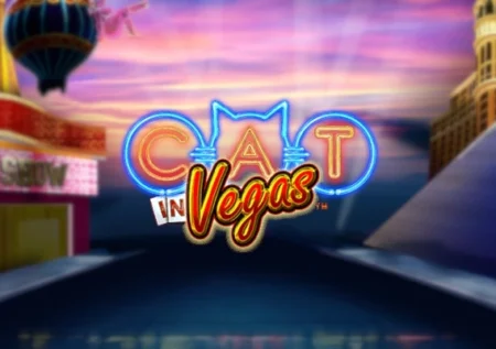 Cat in Vegas