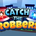 Catch The Robbers