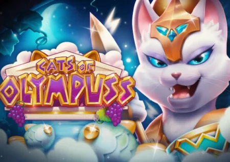 Cats of Olympuss