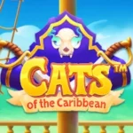 Cats of the Caribbean
