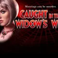 Caught In The Widow’s Web
