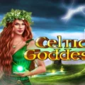 Celtic Goddess