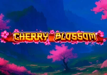Cherry Blossom