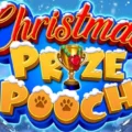 Christmas Prize Pooch