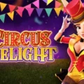 Circus Delight
