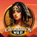 Cleopatra’s Wild