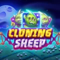 Cloning Sheep