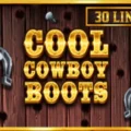 Cool Cowboy Boots