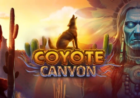 Coyote Canyon