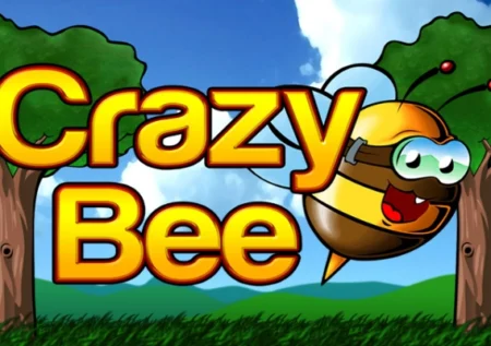 Crazy Bee