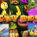 Crazy Birds