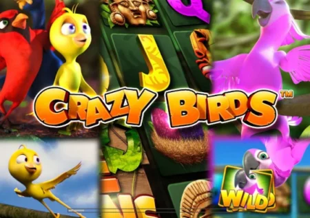 Crazy Birds