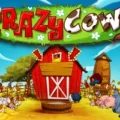 Crazy Cows
