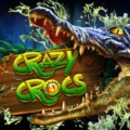 Crazy Crocs
