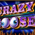 Crazy Goose