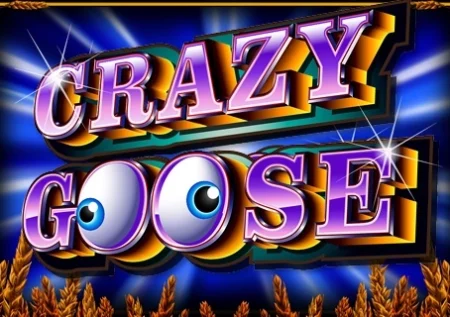 Crazy Goose