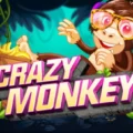 Crazy Monkey