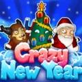 Crazy New Year
