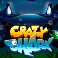 Crazy Shark