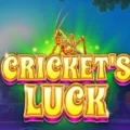 Cricket’s Luck