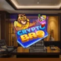 Crypto Bro