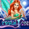 Crystal Forest