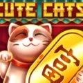 Cute Cats 3×3