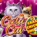 Cutie Cat Crazy Chicken Shooter