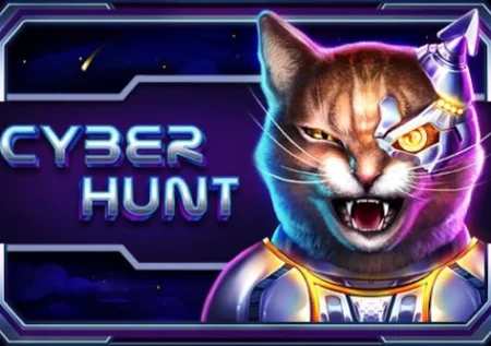 Cyber Hunt