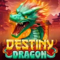 Destiny Dragon