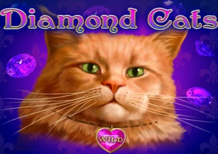 Diamond Cats