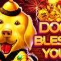 Dog Bless You