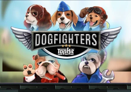 Dog Fighters