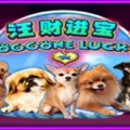 Doggone Lucky!