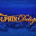 Dolphin Delight