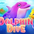 Dolphin Dive