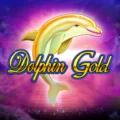 Dolphin Gold