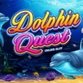 Dolphin Quest