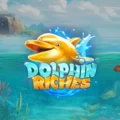 Dolphin Riches