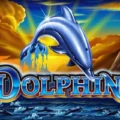 Dolphins