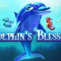 Dolphin’s Blessing