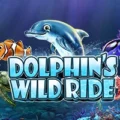 Dolphin’s Wild Ride