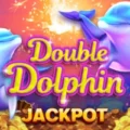 Double Dolphin Jackpot