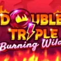 Double Triple Burning Wilds