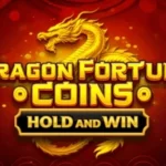 Dragon Fortune Coins