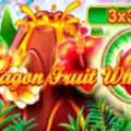 Dragon Fruit Wheel 3×3