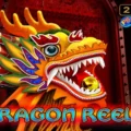 Dragon Reels
