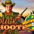 Duck Shooter Crazy Chicken Shooter