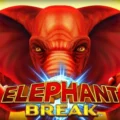 Elephant Break